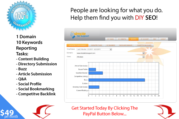 diy-seo-buy-now